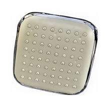 ABS Showers - Prince